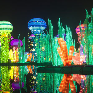 Glow Garden tours