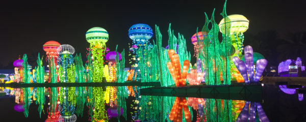 Glow Garden tours