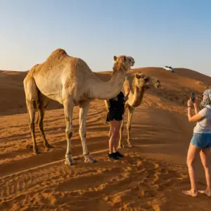 Morning Dubai Desert Safari